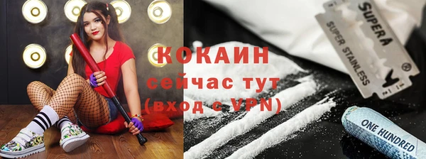 твердый Арсеньев