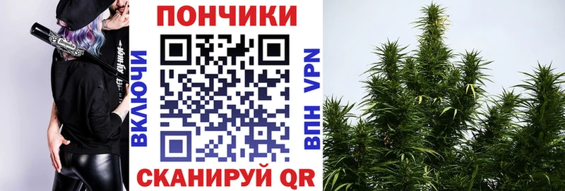 Купить  Кремёнки  Канабис сатива 